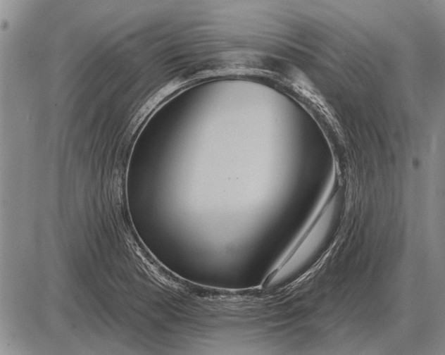 X0000085061177200703191317