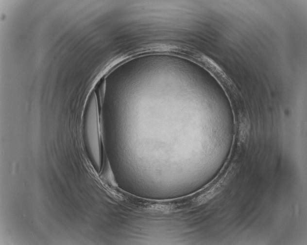 X0000085061178200703191317