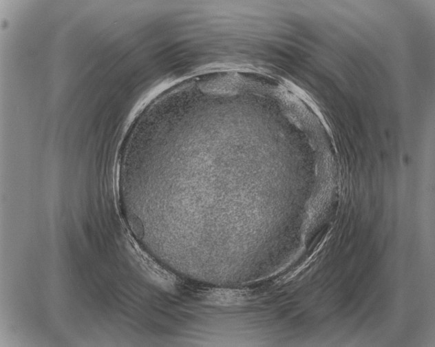 X0000085061179200703191317