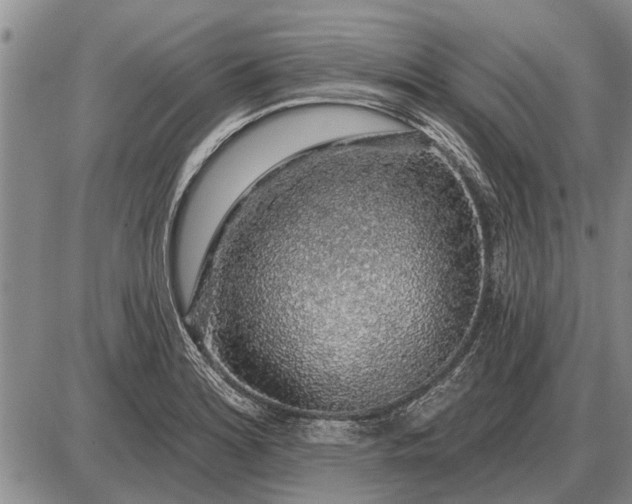 X0000085061180200703191317