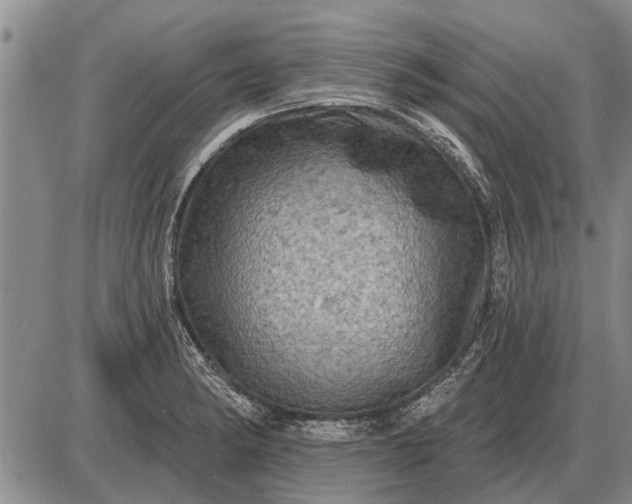 X0000085061182200703191317