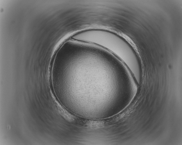 X0000085061183200703191317