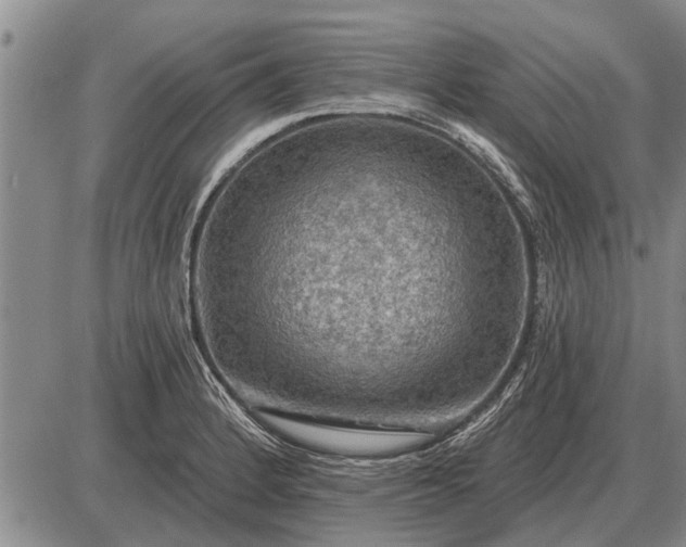 X0000085061184200703191317