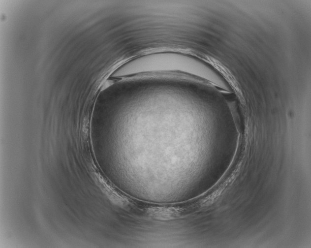 X0000085061185200703191317