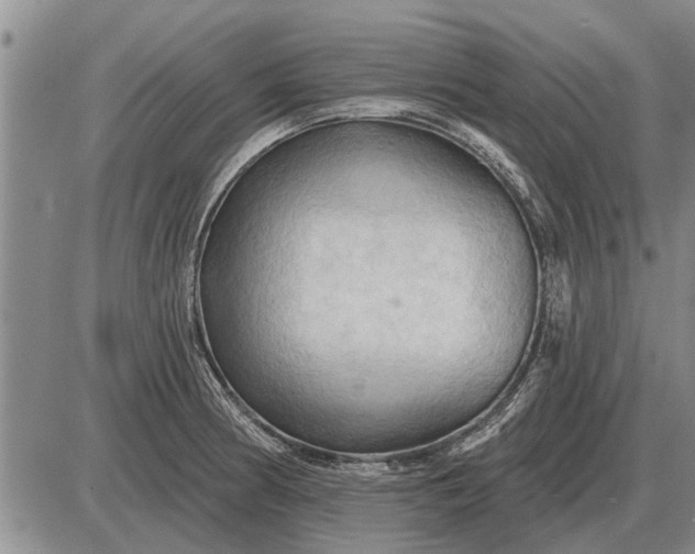 X0000085061186200703191317