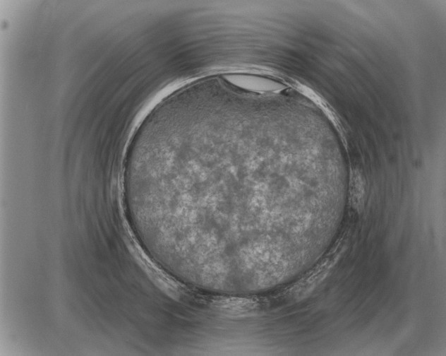 X0000085061187200703191317