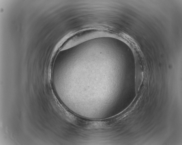 X0000085061188200703191317