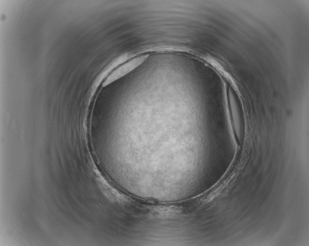 X0000085061189200703191317