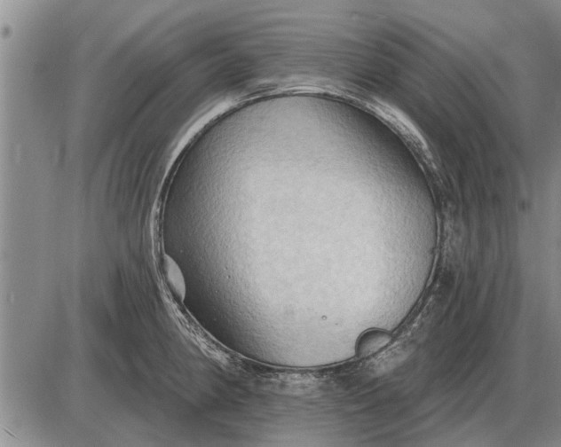 X0000085061190200703191317