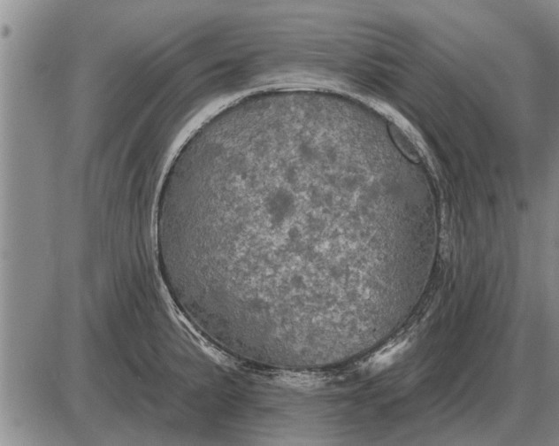 X0000085061191200703191317