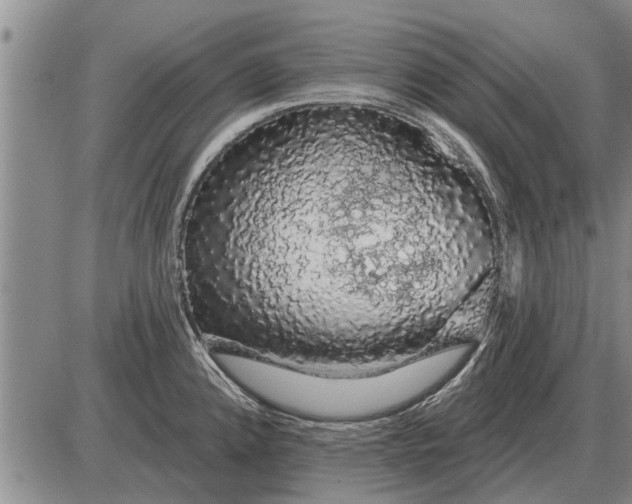 X0000085061192200703191317