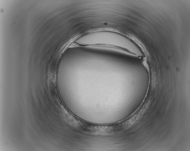 X0000085061193200703191317