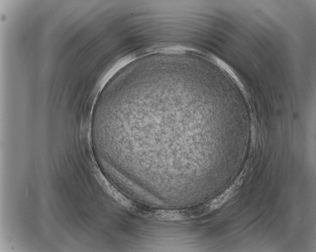 X0000085061194200703191317