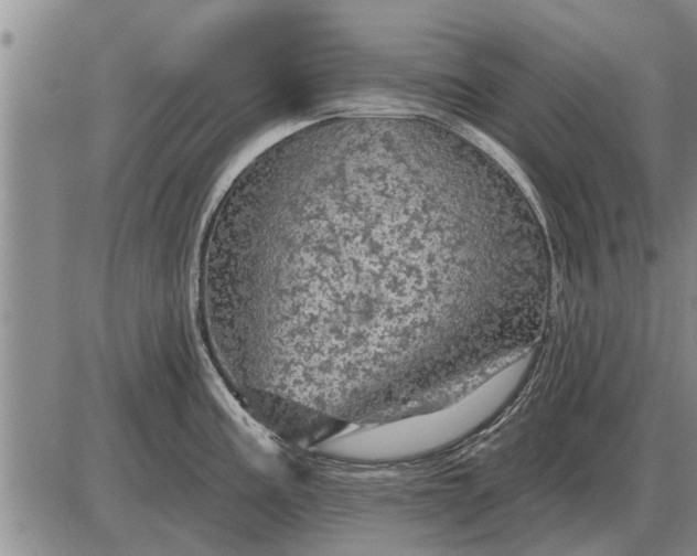 X0000085061195200703191317