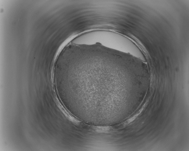 X0000085061196200703191317