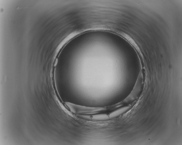 X0000085061197200703191316