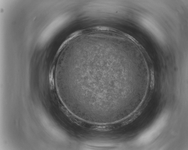 X0000085061198200703191316