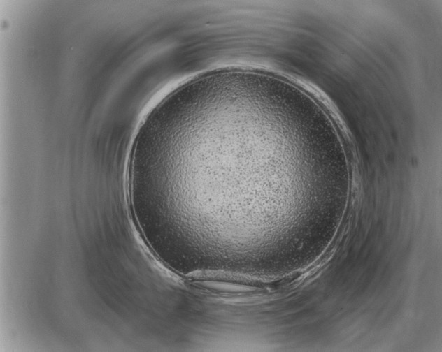 X0000085061199200703191316