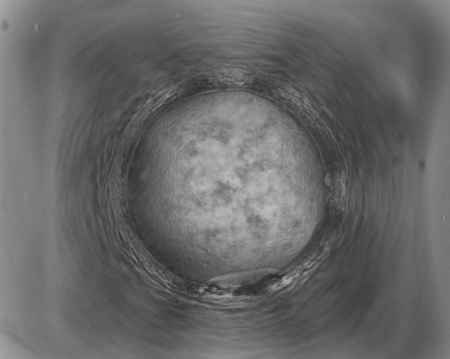 X0000085061201200703191316