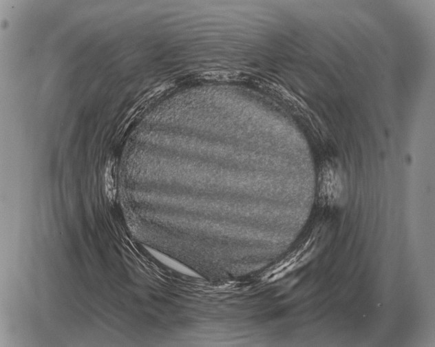 X0000085061202200703191316