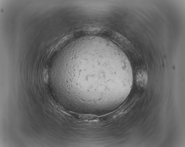 X0000085061204200703191316