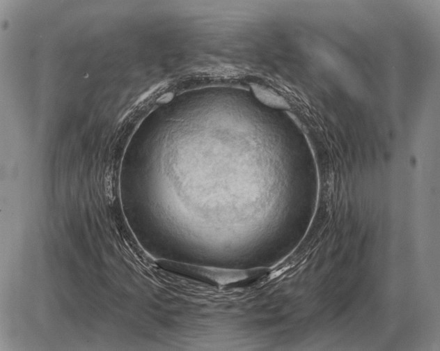 X0000085061205200703191316