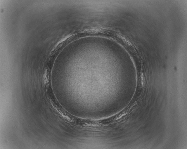 X0000085061206200703191316