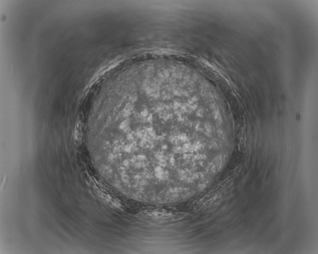 X0000085061207200703191316