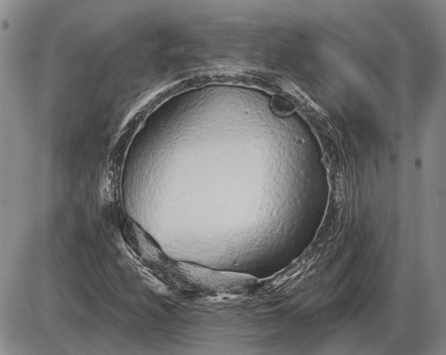 X0000085061208200703191316