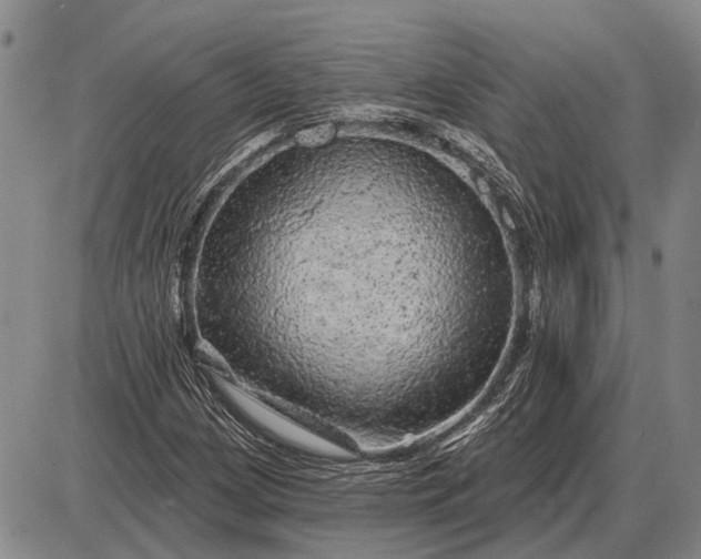 X0000085061209200703191316