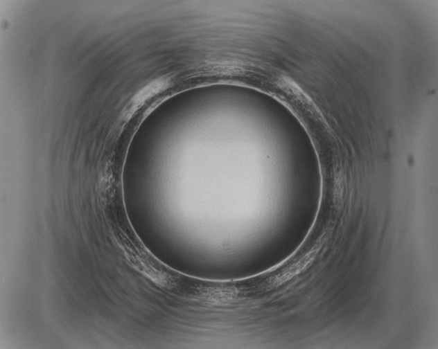 X0000085061210200703191316