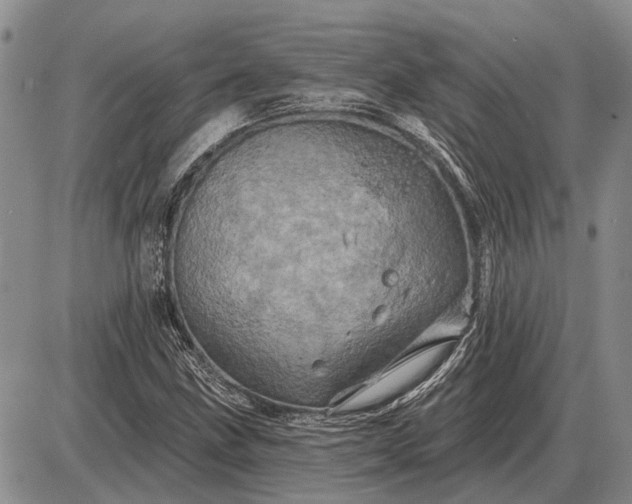 X0000085061211200703191316