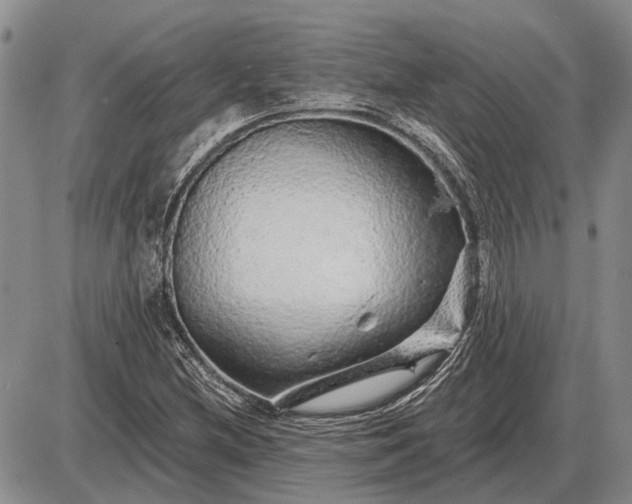 X0000085061212200703191316