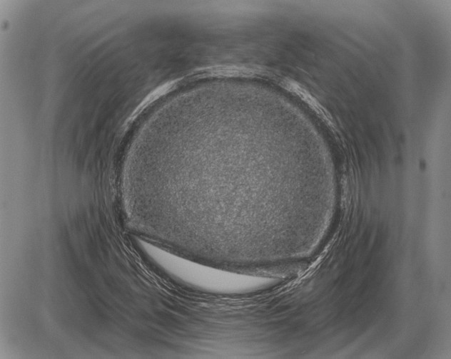 X0000085061213200703191316