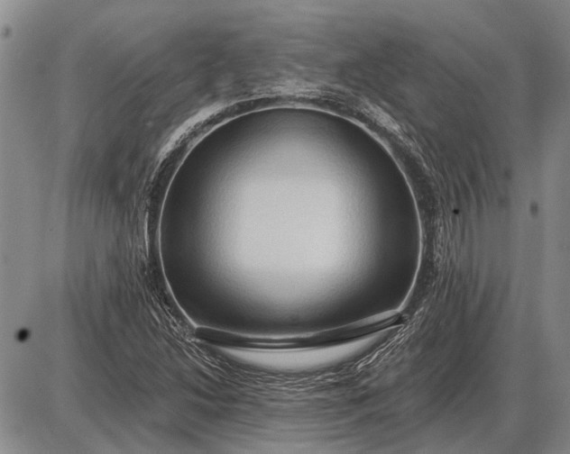 X0000085061214200703191316