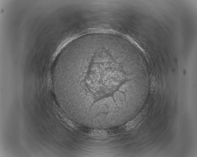 X0000085061215200703191316