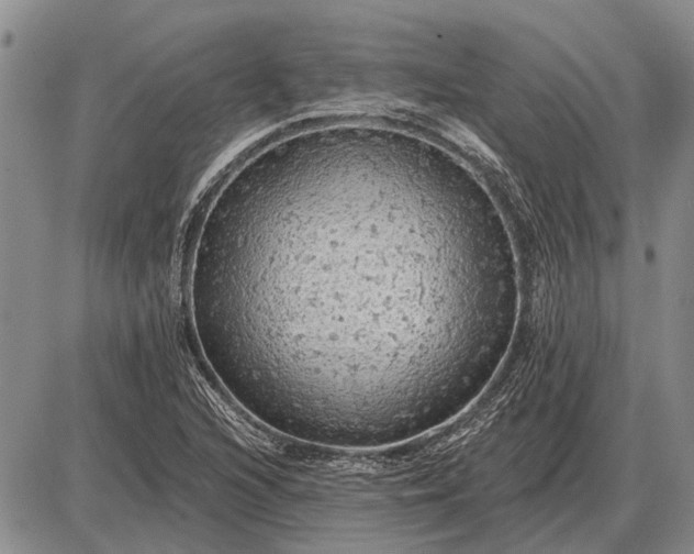 X0000085061216200703191316