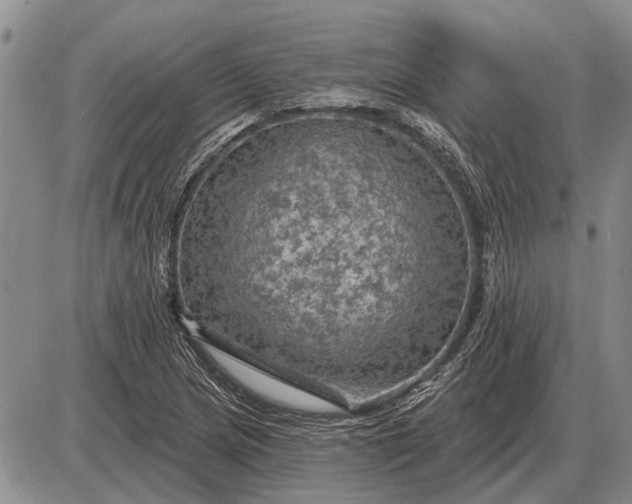 X0000085061217200703191316