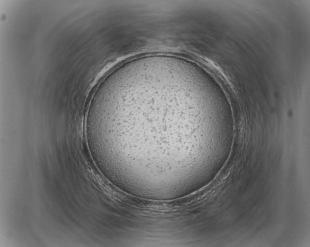 X0000085061220200703191316