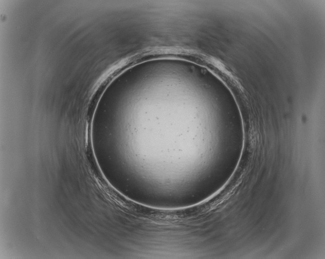 X0000085061221200703191316