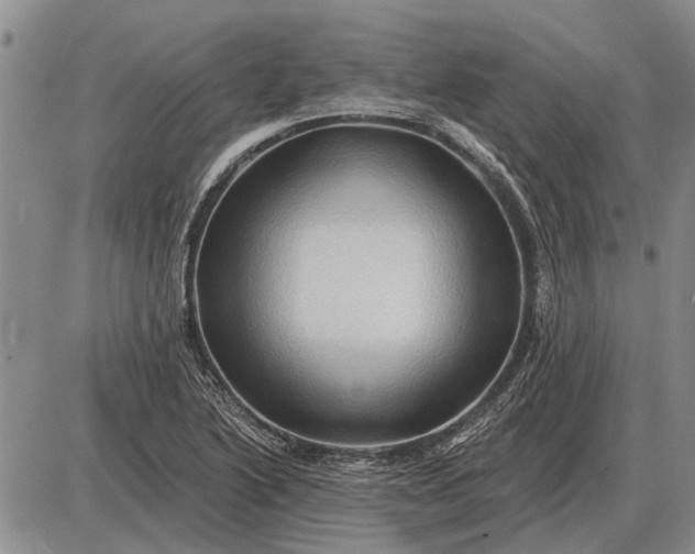 X0000085061222200703191316