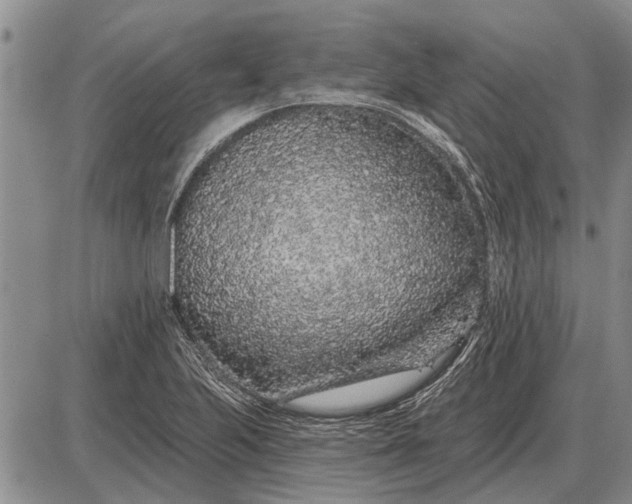 X0000085061223200703191316