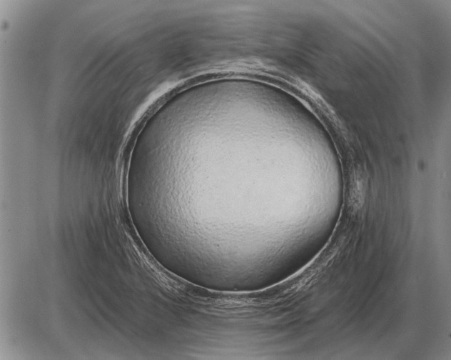 X0000085061224200703191316