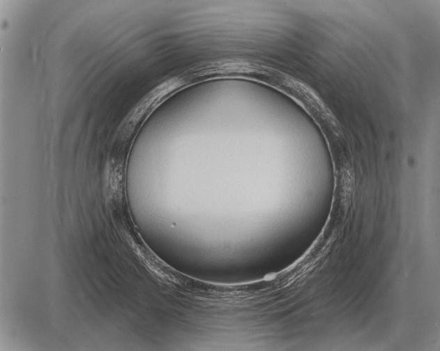 X0000085061225200703191316