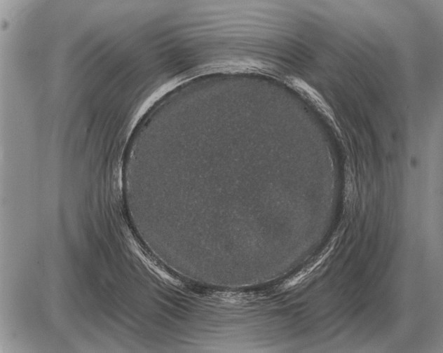 X0000085061226200703191316