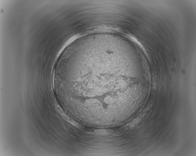 X0000085061227200703191316