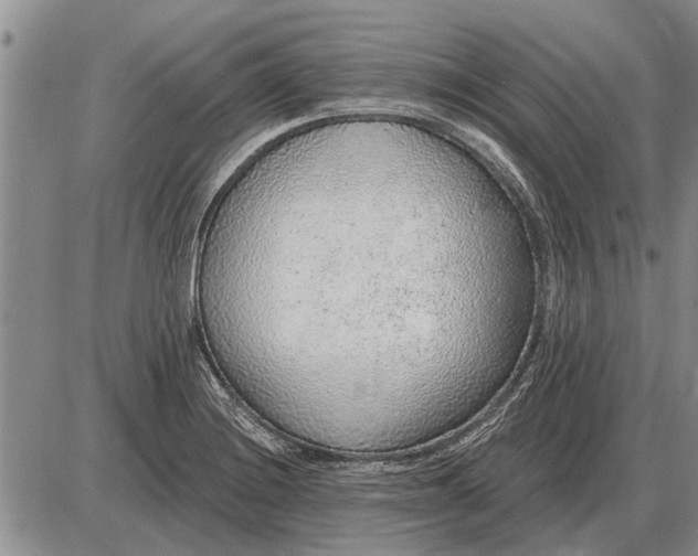 X0000085061228200703191316