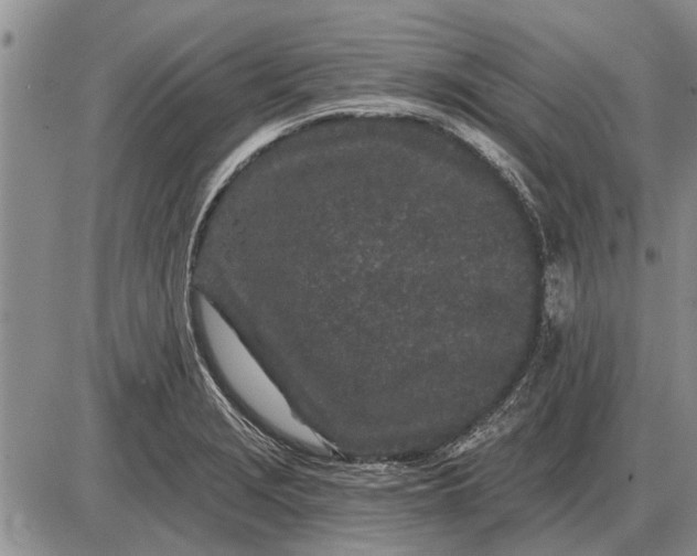 X0000085061229200703191316