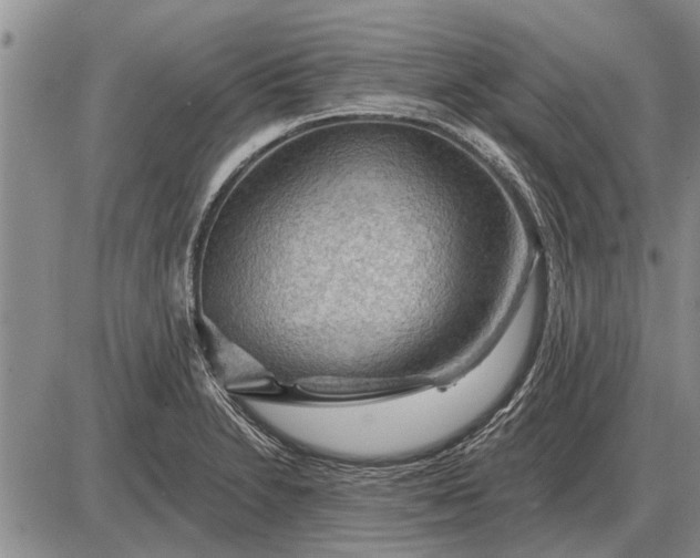 X0000085061230200703191316