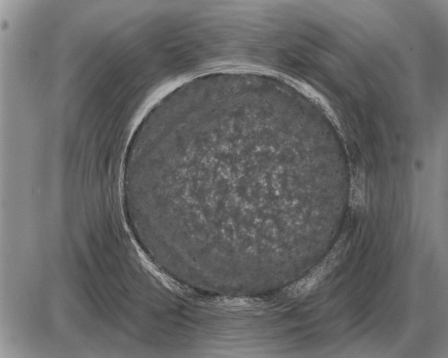 X0000085061231200703191316